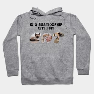 in a relationship with my cat Hoodie